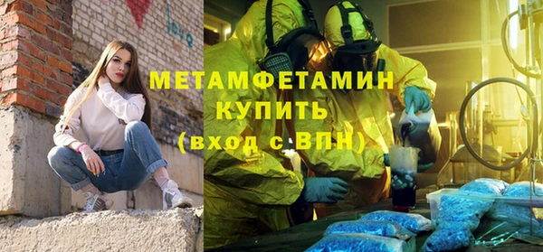 шишки Апатиты