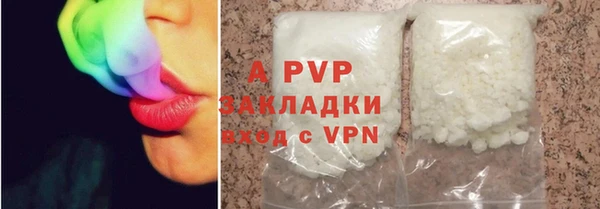 шишки Апатиты