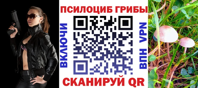 Псилоцибиновые грибы Psilocybe  закладки  Мегион 